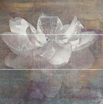 Paradyz Ceramika Manteia Tile Decor 20x60cm Colour Panel A