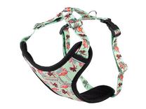 Petnešos šunims Amiplay Discovery BeHappy, mėtinė (mint) sp./rožinė sp., 700 - 1050 mm x 25 mm, XXL
