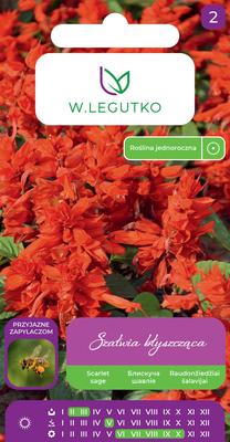 Sėklos šalavijas RED, 0.5 g