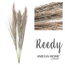 Dekoracija AmeliaHome Pampas Reedy 10625702, 86 cm, ruda sp.
