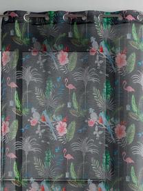 Dienas aizkari Douceur Imprime Top Paradizio, pelēka krās./daudzkrāsaina, 140 cm x 240 cm