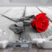 Fototapete Artgeist Abandoned Rose, 280 cm x 400 cm