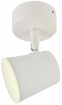 Valgusti lagi CristalRecord Ice 43-611-01-000, LED, 4000 °K, 1 x 5 W, valge v. / valge v.