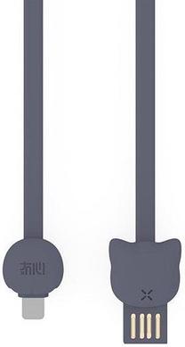 Laidas Maoxin, USB/Apple Lightning