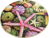 Vonios grindų kilimėlis Foutastic Estrella 359CHL4297, įvairių spalvų, 100 cm x 100 cm, Ø 100 cm