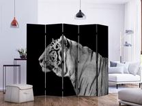 Širma Artgeist White Tiger II, įvairių spalvų, 225 cm x 172 cm