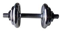 Surenkamas svarmuo inSPORTline YLDS13 x 10 kg