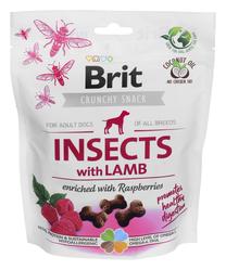 Gardums suņiem Brit Care Crunchy Cracker Insects with Lamb, jēra gaļa, 0.2 kg
