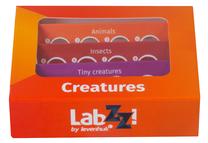 Mėginys Levenhuk LabZZ C12, 10 cm, oranžinė, 12 vnt.