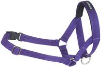 Antsnukis Amiplay Basic, violetinė sp.