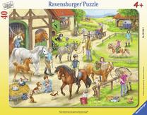 Dėlionė Ravensburger 061648, 32.5 cm x 24.5 cm, 40 vnt., įvairių spalvų