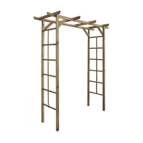 Taimetugi Pergola, 210 cm, puit, liivakarva pruun v.