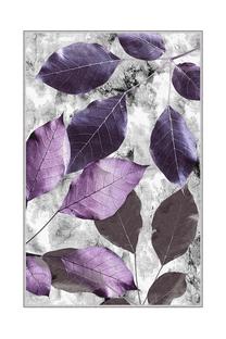 Kiliminis takas Conceptum Hypnose HMNT572, įvairių spalvų, 300 cm x 80 cm