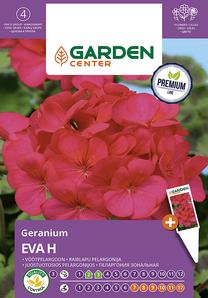 Sėklos Garden Center pelargonija EVA H, 5 vnt.