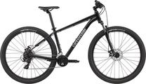 Dviratis kalnų Cannondale, 29 ", pilka sp.