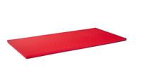 Fitnesa un jogas paklājs Ring Sport 195378, sarkana, 200 cm x 100 cm x 4 mm