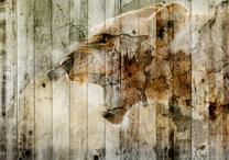 Fototapete Artgeist Unbridled Beauty, 210 cm x 300 cm