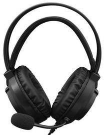 Ausinės White Shark Baltas Shark GH-2044 Wolf juoda