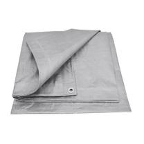 Tentas 64362, sidabro sp., 5 m x 3 m