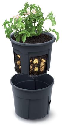 Puķu pods Keden IZIE300, plastmasa, Ø 29.5 cm, antracīta krās.