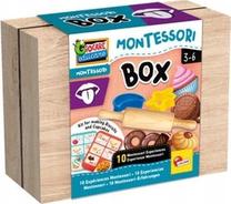 Игра Lisciani Montessori, 6 см, многоцветный, 10 шт.