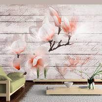 Fototapete Artgeist Subtlety Of The Magnolia, 175 cm x 250 cm