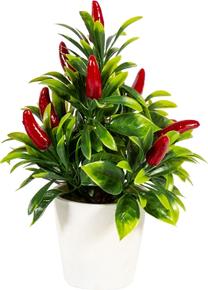 Искусственное растение в горшке Home4you In Garden Chilli, красный цв./зеленый цв., 2.2 см