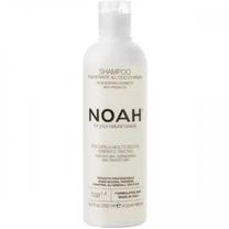 Šampūnas Noah 1.4. Regenerating Argan Oil, 250 ml