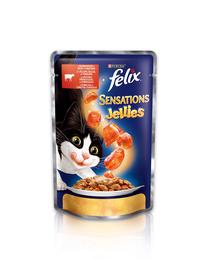 Mitrā kaķu barība Felix, liellopa gaļa, 0.1 kg