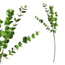 Искусственная ветка, эвкалипт Mondex Viridis, зеленый цв., 92 см x 11 см
