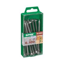 Medsraigtis, universalieji Spax, 6 x 100 mm, balta sp., 10 vnt.