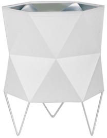 Настольные лампы TK Lighting Siro 5168, E27, 15Вт, белый цв./серебристый цв./белый цв.