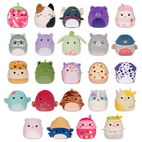 Pliušinis žaislas Squishmallows Micromallows, (spalva/dizainas parenkami atsitiktine tvarka), 5 cm