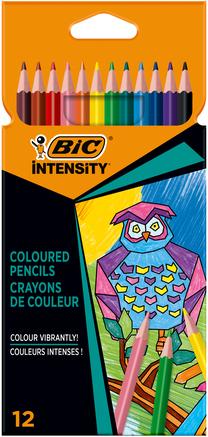 Spalvoti pieštukai Bic, 9505272, 12 vnt.