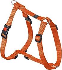 Petnešos šunims Beeztees, oranžinė sp., 650 - 1000 mm x 25 mm, 65-100 cm