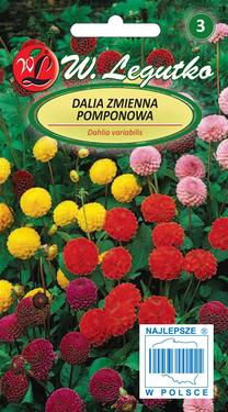 Sēklas dālijas, 1 g