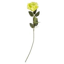 Dirbtinė gėlė, rožė Domoletti, žalia sp., 60 cm