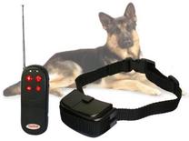 Suņu apmācības kakla siksna Dog Training AG26