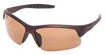 Sporta saulesbrilles Salmo Polarized 22