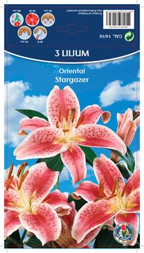Svogūninės gėlės lelija Stargazer, 14 - 16 mm, 3 vnt.