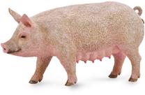 Фигурка-игрушка Collecta Animal Pig 88863