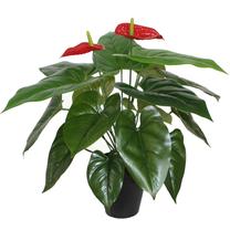 Искусственные цветы в вазоне, антуриум Home4you Anthurium, красный цв./зеленый цв., 45 см