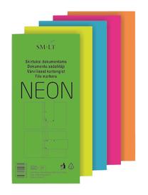 Skirtukas SMLT, A4, 30 vnt.