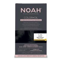 Matu krāsa Noah Color In Oil, raven black krās., 1.0, 135 ml