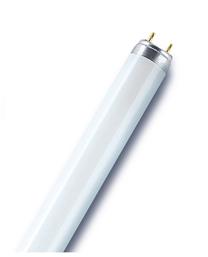 Лампочка Radium Люминесцентная, T8, 4000 °К, G13, 58 Вт, 5200 лм