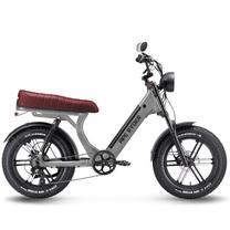 Elektrinis dviratis Ape Ryder MD10 Pro, 20", 250 W, 15 Ah, pilka sp.