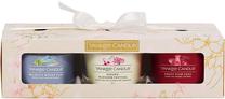 Žvakių rinkinys, aromatinė Yankee Candle Sakura Blossom Festival, 10 h, 37 g, 3 vnt., įvairių spalvų