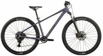 Dviratis kalnų Raymon Nayta Comp, 29 ", M rėmas, juoda sp./smoke lavender sp.