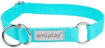 Ошейник для собак Amiplay Samba, бирюзовый цв., 400 - 600 мм x 25 мм, 40-60