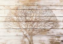 Fototapetas Artgeist Tree On Boards, 210 cm x 210 cm
